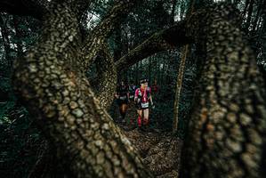 BIB: 
                            <button type="button" onclick="openModal(25681712)" class="btn btn-primary btn-sm float-right btn-popup" data-toggle="modal" data-target=".modal-high-quality">
                        <i class="fas fa-shopping-cart"></i> Add to Cart
                    </button>
                                            <button type="button" onclick="isThisMe(25681712, true)" class="btn btn-success btn-sm float-right btn-popup btn-isme hidden" data-toggle="tooltip" data-placement="bottom" title="นี่คือรูปของคุณใช่ไหม คลิกที่นี่เพื่อเอาเข้าอัลบั้ม">
                        <i class="fas fa-plus"></i> Add to album
                    </button>
                    <button type="button" onclick="isThisMe(25681712, false)" class="btn btn-warning btn-sm float-right btn-popup btn-isnotme hidden">
                        <i class="fas fa-ban"></i> Remove from album
                    </button>